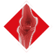icon knee