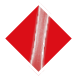icon leg