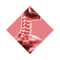 xray-overlay-neck overlay neck