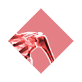 xray-overlay-shoulder overlay shoulder