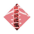 xray-overlay-spine overlay spine